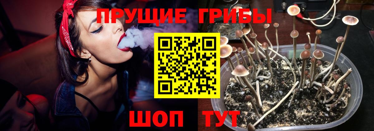 Галлюциногенные грибы мицелий  Вход с VPN  Петрозаводск  Галлюциногенные грибы Magic Shrooms 